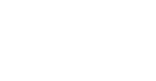 Travelpassenger